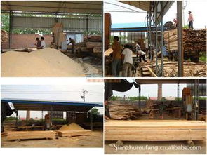 上海旬勒建材 木材加工與建筑材料的專(zhuān)業(yè)服務(wù)商